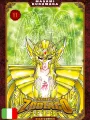 Saint Seiya - I Cavalieri Dello Zodiaco Final Edition 11