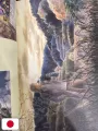 Mushishi Artbook - Edizione Giapponese