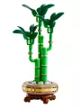 Bambù Del Buon Auspicio - Botanicals - Lego