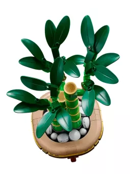 Bambù Del Buon Auspicio - Botanicals - Lego