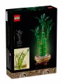 Bambù Del Buon Auspicio - Botanicals - Lego