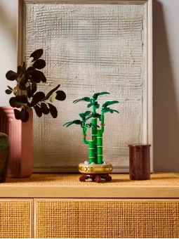 Bambù Del Buon Auspicio - Botanicals - Lego