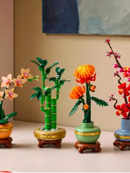 Bambù Del Buon Auspicio - Botanicals - Lego