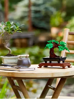Albero Bonsai - Botanicals - Lego Figure