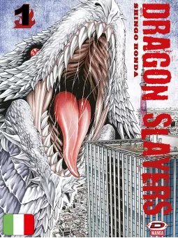 Dragon Slayers - Box