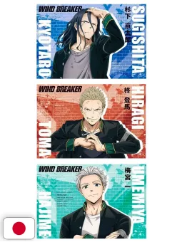 Wind Breaker Official Anime Season 1 Postcard Book - Edizione Giapponese