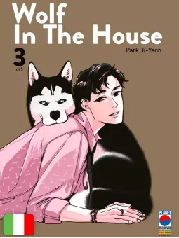 Wolf In The House - Box
