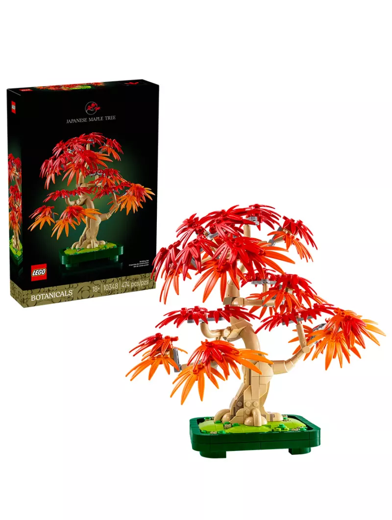 Bonsai Di Acero Rosso Giapponese - Botanicals - Lego