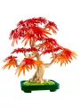 Bonsai Di Acero Rosso Giapponese - Botanicals - Lego