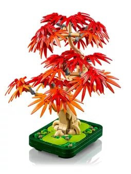 Bonsai Di Acero Rosso Giapponese - Botanicals - Lego
