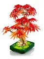 Bonsai Di Acero Rosso Giapponese - Botanicals - Lego