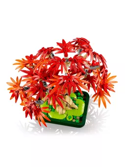 Bonsai Di Acero Rosso Giapponese - Botanicals - Lego