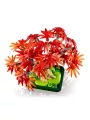 Bonsai Di Acero Rosso Giapponese - Botanicals - Lego