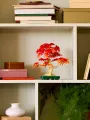 Bonsai Di Acero Rosso Giapponese - Botanicals - Lego