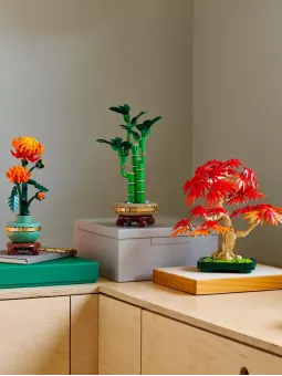 Bonsai Di Acero Rosso Giapponese - Botanicals - Lego