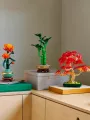 Bonsai Di Acero Rosso Giapponese - Botanicals - Lego