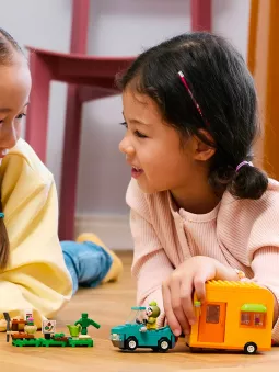 La Roulotte E Il Negozio Di Giardinaggio Di Florindo - Animal Crossing - Lego