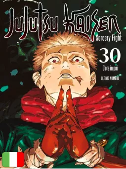Jujutsu Kaisen 30