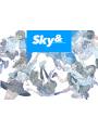 Oh! Great Artbook - Sky & - Edizione Giapponese