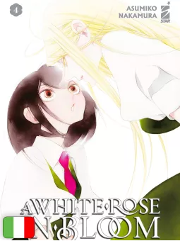 A White Rose In Bloom 4