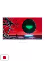 Angel's Egg The Visual Collection Mamoru Oshii - Edizione Giapponese