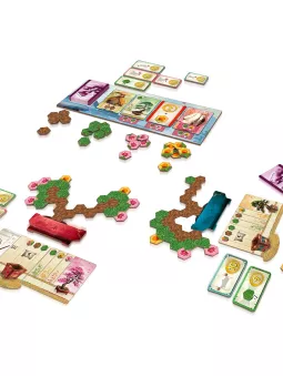Bonsai - DV Giochi