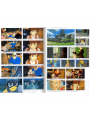 Laputa: Castle In The Sky Ghibli Roman Album - Edizione Giapponese