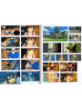 Laputa Ghibli Roman Album - Edizione Giapponese