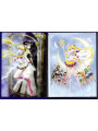Pretty Guardian Sailor Moon Eternal: The Movie Official ArtBook