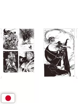 Vampire Hunter D - Yoshitaka Amano Complete Illustrations Art Book Yoshitaka Amano - Edizione Giapponese