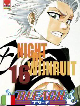 Bleach 16