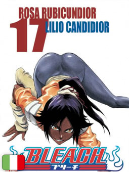 Bleach 17