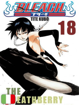 Bleach 18