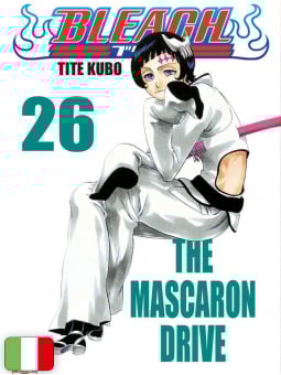 Bleach 26