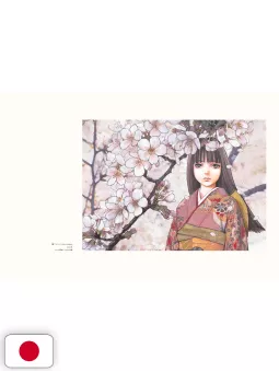 Hana Fuu Shi Art Book Kei Toume - Edizione Giapponese