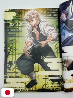 Demon Slayer - Kimetsu no Yaiba: Illustration Records 4 - Edizione Giapponese