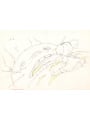 The Art Of Totoro (Il Mio Vicino Totoro) Studio Ghibli - Edizione Giapponese