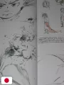 The Art Of The Tale Of The Princess Kaguya - Studio Ghibli - Edizione Giapponese