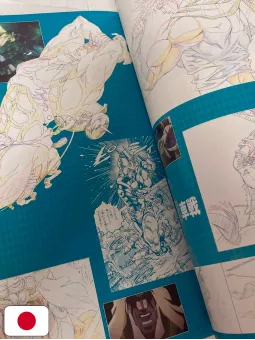 Le Bizzarre Avventure Di JoJo TV Anime Original Art Collection AAA 1 - Edizione Giapponese