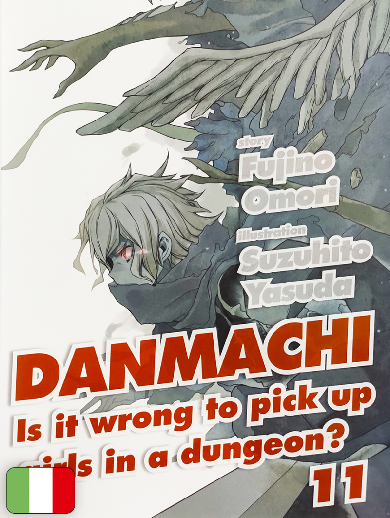 DanMachi Light Novel 11