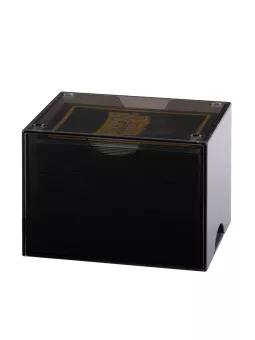 Dragon Shield Clear Black Strongbox