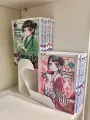 Rialzo Manga per librerie