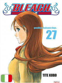 Bleach 27