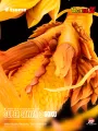 [PREORDINE] Super Saiyan 3 Goku Dragon Ball Z Movies Collection - Tsume Statue