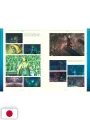 Final Fantasy X Memorial Album 25th Anniversary HD Remastered Edition - Edizione Giapponese