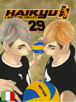 Haikyu!! 29