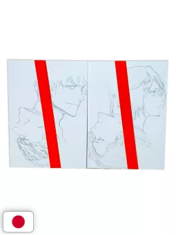 Bleach Art Book JET Tite Kubo + (Box) - Edizione Giapponese 2018