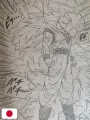 Weekly Shonen Jump 28 1994 - Dragon Ball (Prima Apparizione Goku SSJ3) - RANK C