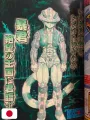 Weekly Shonen Jump 46 2005 - Hunter X Hunter (250 Capitoli)