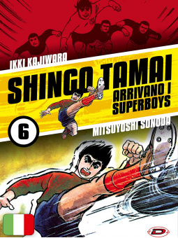 Arrivano i Superboys 6